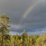 JodÃ¥, regnbÃ¥gen fick vi se ocksÃ¥.