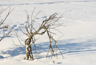 DSC_0884-1