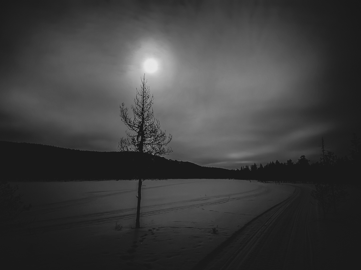 Melodikrysset v.7